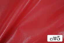 画像をギャラリービューアに読み込む, CS1190 イリーナオーガンジー 5