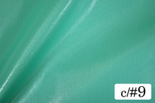 画像をギャラリービューアに読み込む, CS1190 イリーナオーガンジー 9