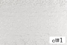 画像をギャラリービューアに読み込む, CS1215 ティアールジャガード 1