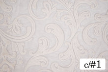 画像をギャラリービューアに読み込む, CS1232 ザルバ 1