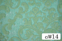 画像をギャラリービューアに読み込む, CS1232 ザルバ 14