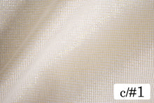 画像をギャラリービューアに読み込む, CS1253 パナマクロスラメ 1