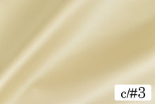 画像をギャラリービューアに読み込む, CS1270 ライトマルチプルサテン 3