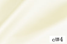 画像をギャラリービューアに読み込む, CS1270 ライトマルチプルサテン 4