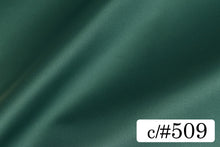 画像をギャラリービューアに読み込む, CS1270E ライトマルチプルサテン 509