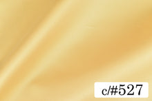 画像をギャラリービューアに読み込む, CS1270E ライトマルチプルサテン 527