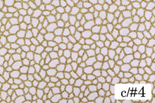 画像をギャラリービューアに読み込む, CS1280 ダイヤグリッター 4