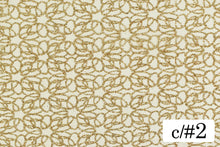 画像をギャラリービューアに読み込む, CS1281 ジードグリッター 2