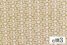 画像をギャラリービューアに読み込む, CS1281 ジードグリッター 3