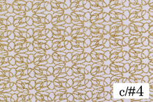 画像をギャラリービューアに読み込む, CS1281 ジードグリッター 4