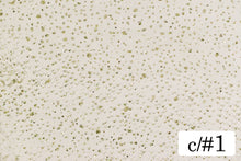 画像をギャラリービューアに読み込む, CS1288 フォッググリッター 1