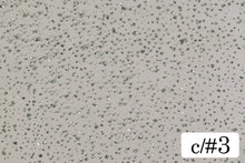 画像をギャラリービューアに読み込む, CS1288 フォッググリッター 3