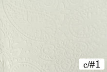 画像をギャラリービューアに読み込む, CS1334 グレイスオーガンジー 1