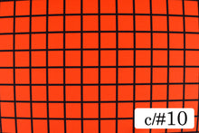 画像をギャラリービューアに読み込む, CS1-10027-1 格子チェック2cm 10