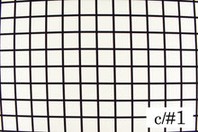 画像をギャラリービューアに読み込む, CS1-10027-1 格子チェック2cm 1