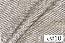 画像をギャラリービューアに読み込む, CS481 ローンネット 10