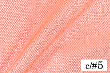 画像をギャラリービューアに読み込む, CS481 ローンネット 5