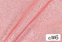 画像をギャラリービューアに読み込む, CS481 ローンネット 6