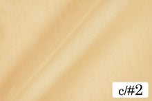 画像をギャラリービューアに読み込む, CS493 75Dジョーゼット 2