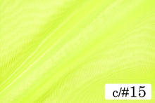 画像をギャラリービューアに読み込む, CS503 スパークオーガンジー 15