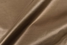 画像をギャラリービューアに読み込む, CS634 バックサテンシャンタン 34