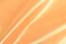 画像をギャラリービューアに読み込む, CS634 バックサテンシャンタン 54