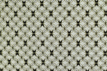 画像をギャラリービューアに読み込む, CS650 ラメ入りチュール 10