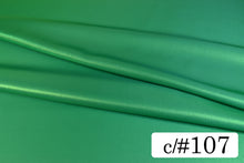 画像をギャラリービューアに読み込む, CS753 スパークサテンシャンブレー 107