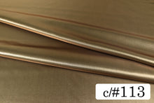 画像をギャラリービューアに読み込む, CS753 スパークサテンシャンブレー 113