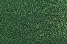 画像をギャラリービューアに読み込む, CS779 ポリエステルジャガード 12