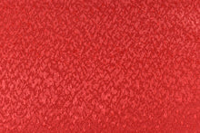 画像をギャラリービューアに読み込む, CS779 ポリエステルジャガード 3