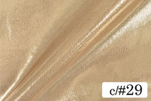 画像をギャラリービューアに読み込む, CS811 ハイメタリック 29