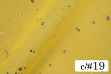 画像をギャラリービューアに読み込む, CS864 50GCスターダスト 19