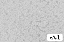 画像をギャラリービューアに読み込む, CS903 3901レース 1