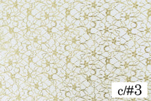 画像をギャラリービューアに読み込む, CS903 3901レース 3