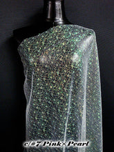 画像をギャラリービューアに読み込む, CS903 3901レース 1