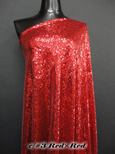 画像をギャラリービューアに読み込む, CS938 クリスタルマーメイド 100