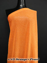 画像をギャラリービューアに読み込む, CS951 50GCグリッター 13