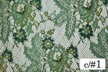 画像をギャラリービューアに読み込む, CS960 SWラメリバーレース 1