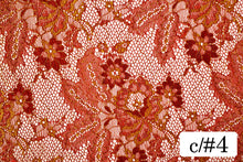 画像をギャラリービューアに読み込む, CS960 SWラメリバーレース 4