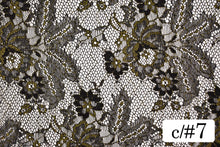 画像をギャラリービューアに読み込む, CS960 SWラメリバーレース 7