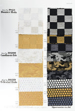 画像をギャラリービューアに読み込む, CS9754 アロセホロ 104