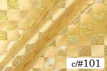 画像をギャラリービューアに読み込む, CS9823 ダミエホロ 101