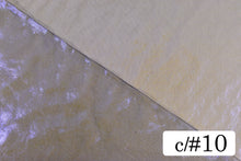 画像をギャラリービューアに読み込む, CS985 フェアリーオーロラオーガンジ 10
