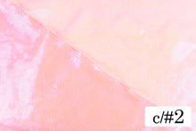 画像をギャラリービューアに読み込む, CS985 フェアリーオーロラオーガンジ 2
