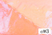 画像をギャラリービューアに読み込む, CS985 フェアリーオーロラオーガンジ 3