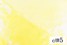 画像をギャラリービューアに読み込む, CS985 フェアリーオーロラオーガンジ 5