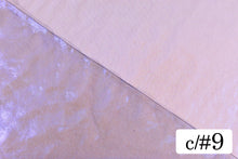 画像をギャラリービューアに読み込む, CS985 フェアリーオーロラオーガンジ 9