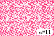 画像をギャラリービューアに読み込む, MCS10002 ミニダルメシアン 11