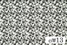 画像をギャラリービューアに読み込む, MCS10002 ミニダルメシアン 13